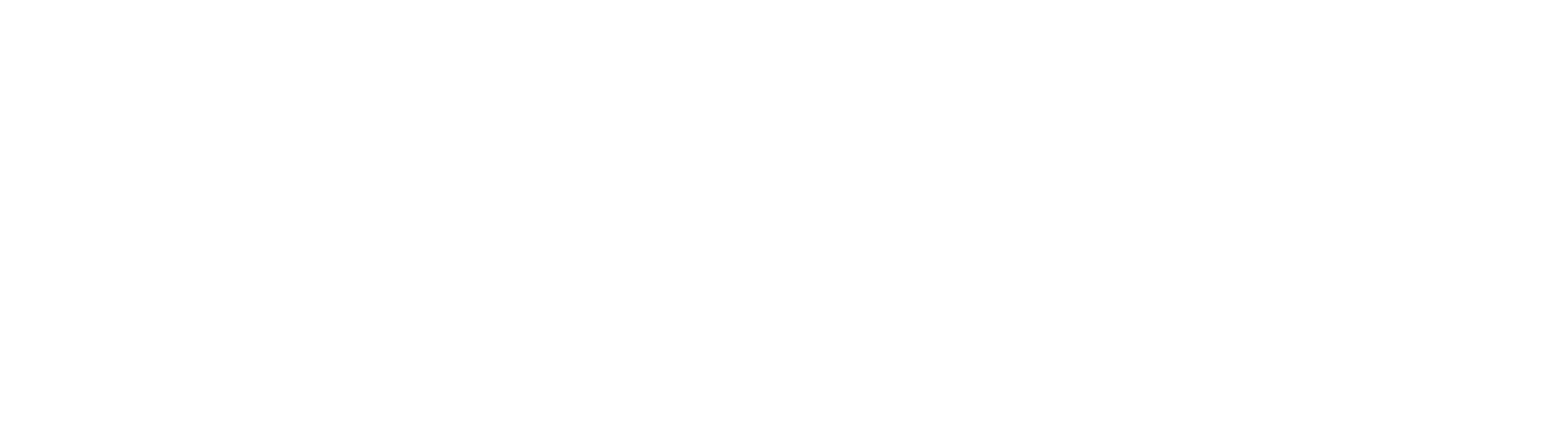 Logo_CASHIA_blanc_paysage